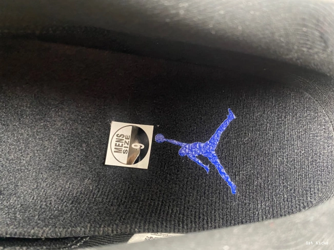 Jam FV5104-004 Space Low 11 Air Jordan 0703